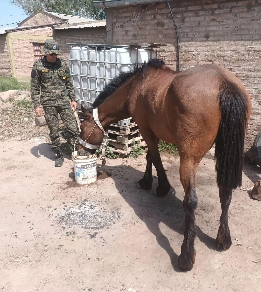 WhatsApp Image 2023-09-22 at 17.53.05