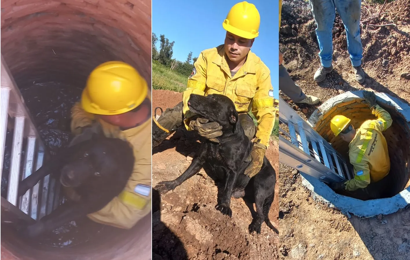 Villa Ángela: Bomberos rescatan un perro que cayó en un pozo de tres metros