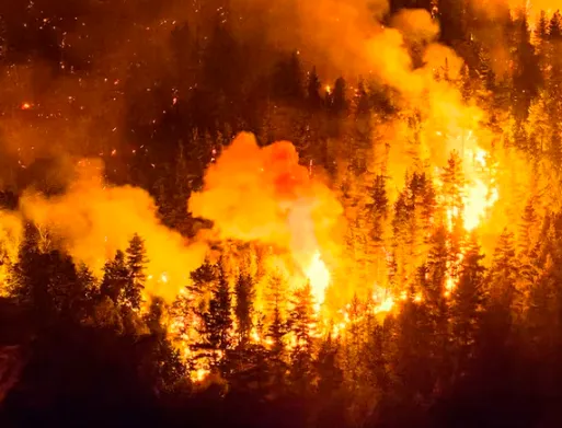 Captura de pantalla 2026-01-10 122323