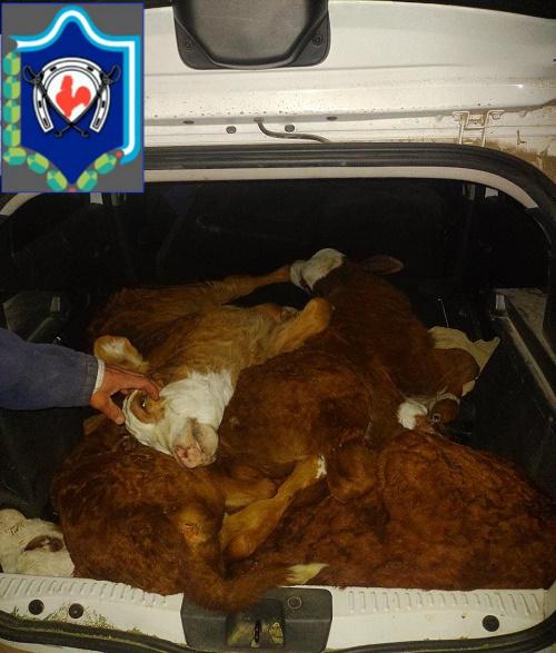 WhatsApp Image 2023-07-18 at 06.46.59