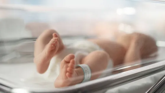 Captura de pantalla 2025-11-26 170100