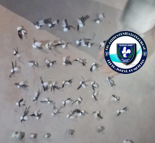 WhatsApp Image 2024-11-12 at 06.33.20 (1)