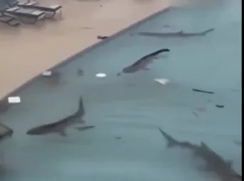 Captura de pantalla 2025-10-28 204945