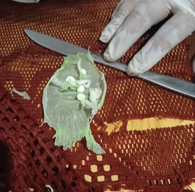 Captura de pantalla 2026-03-28 095658