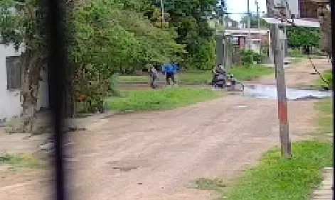 WhatsApp Image 2025-10-13 at 16.08.49