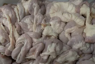 EZCZXEWJPNGPFE2CE2WJYZCH74