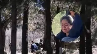 461897883_541458201766971_651498377694701593_n