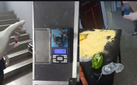 Captura de pantalla 2026-04-11 110603