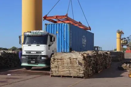 WhatsApp Image 2025-10-24 at 19.12.40