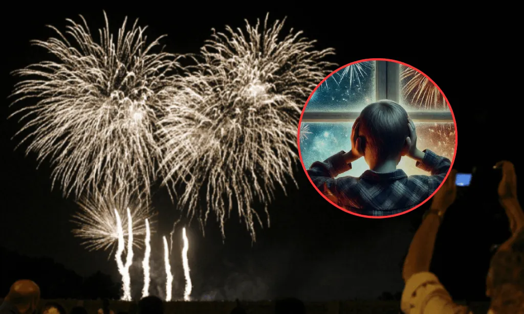 Presentación (43) (2)