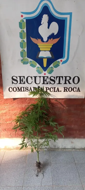 WhatsApp Image 2024-08-15 at 10.50.28