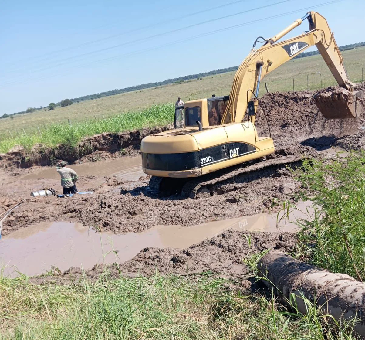 WhatsApp Image 2026-04-02 at 17.22.52