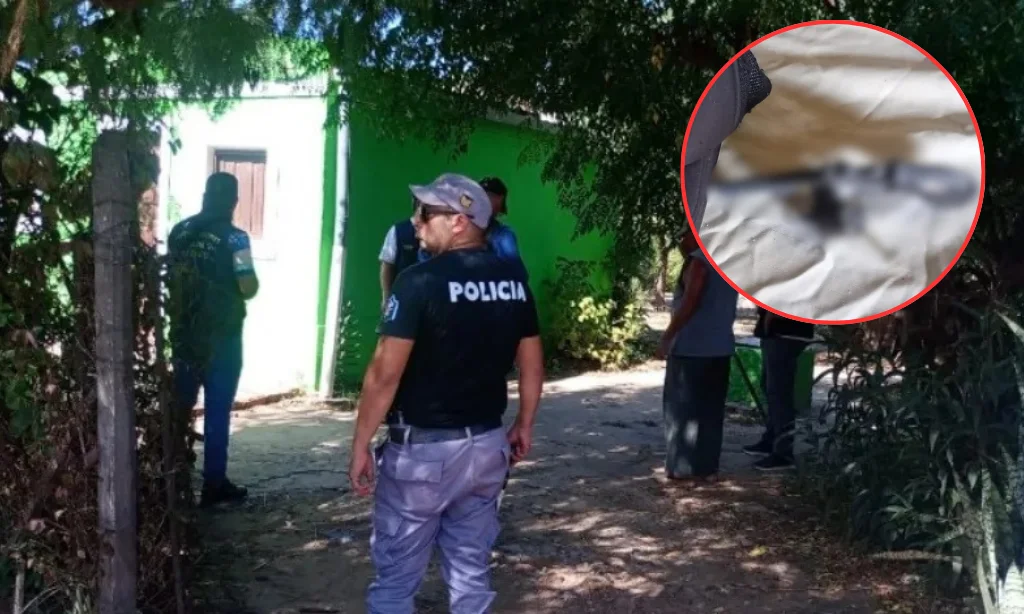 Presentación (43) (1)