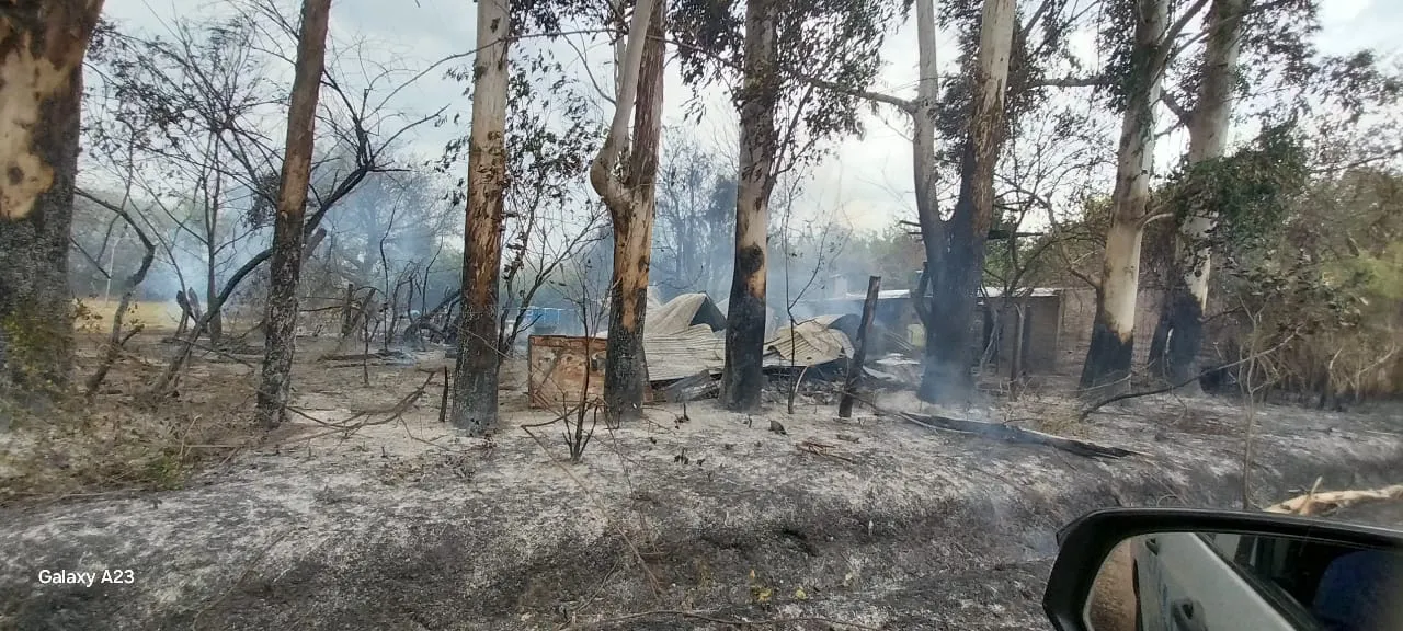 WhatsApp Image 2025-03-08 at 16.51.56