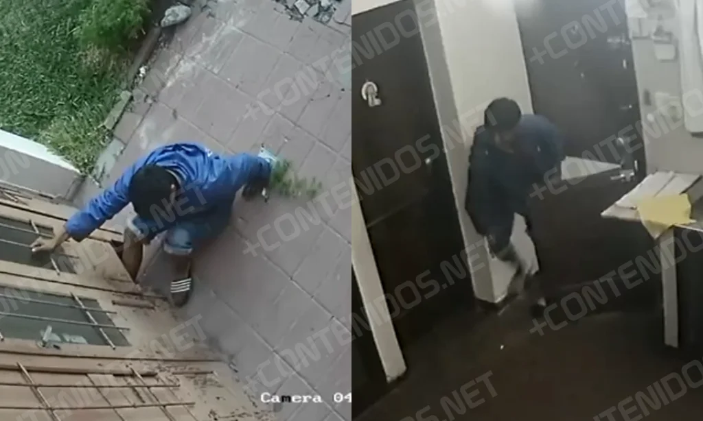 [VIDEO] Detuvieron a un joven por robar en la casa de una mujer de 82 ...