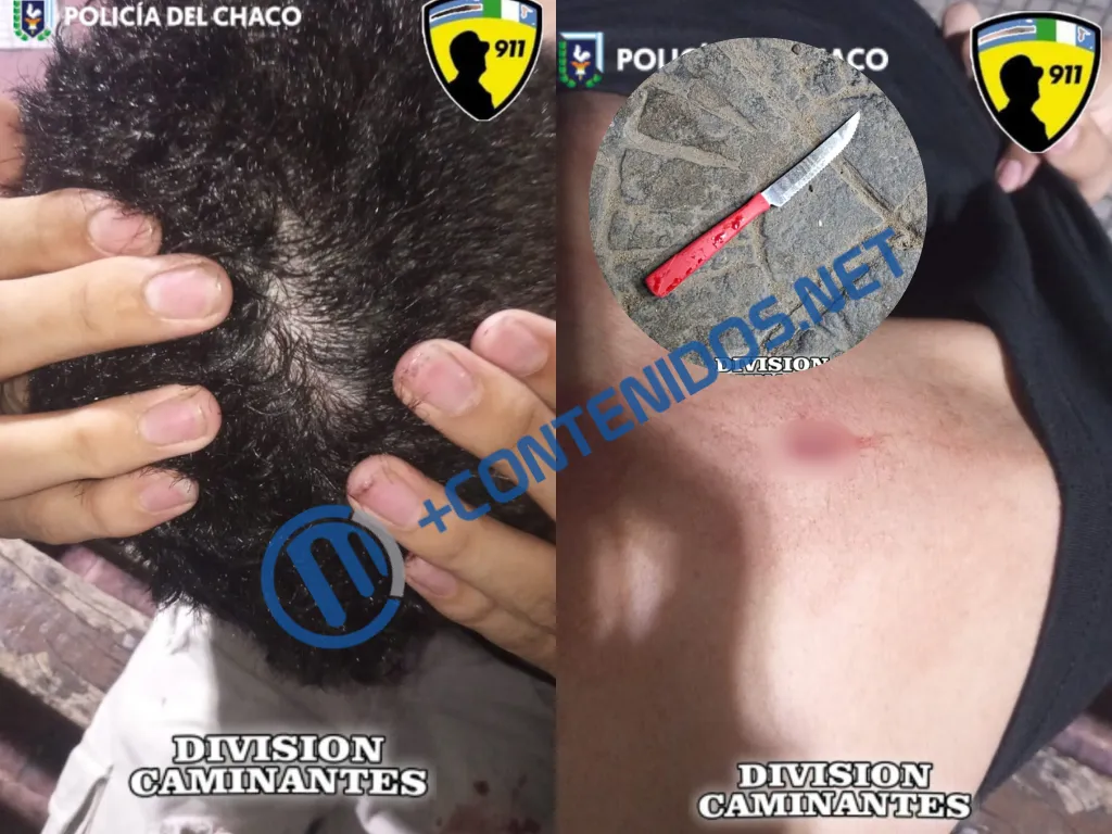Presentación (43)