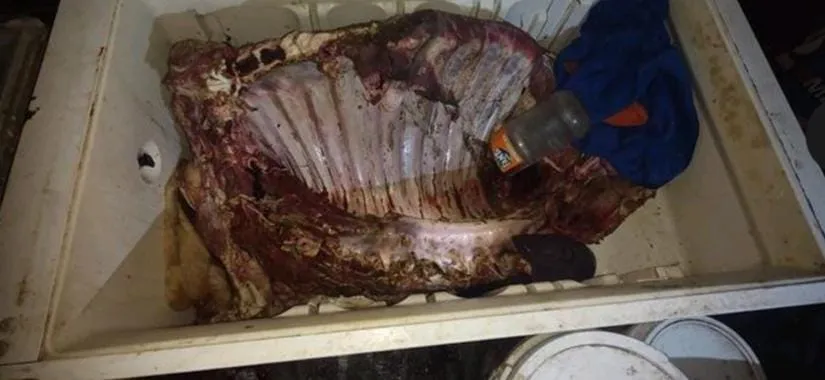 WhatsApp Image 2024-04-18 at 10.06.43