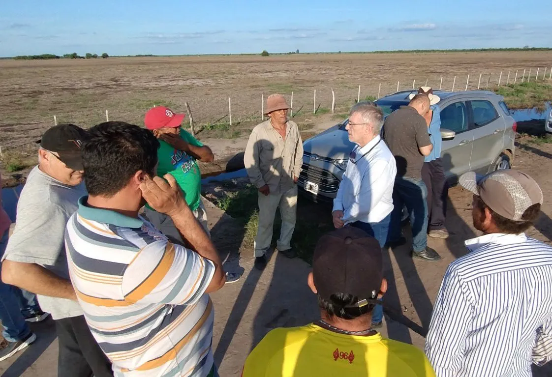 WhatsApp Image 2024-11-13 at 08.31.06