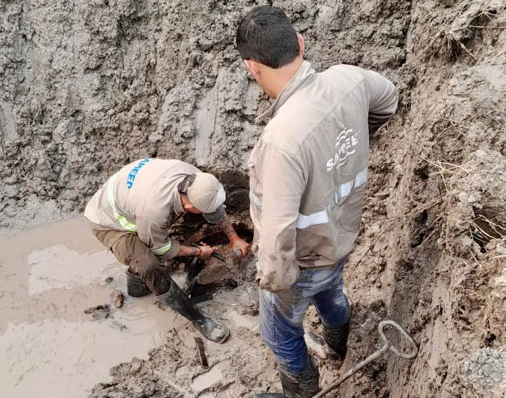 WhatsApp Image 2024-09-03 at 20.36.16