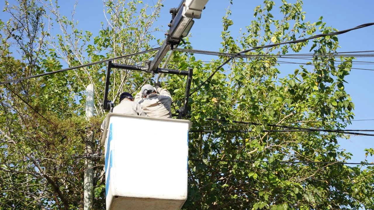 WhatsApp Image 2025-02-05 at 11.33.13 (1)