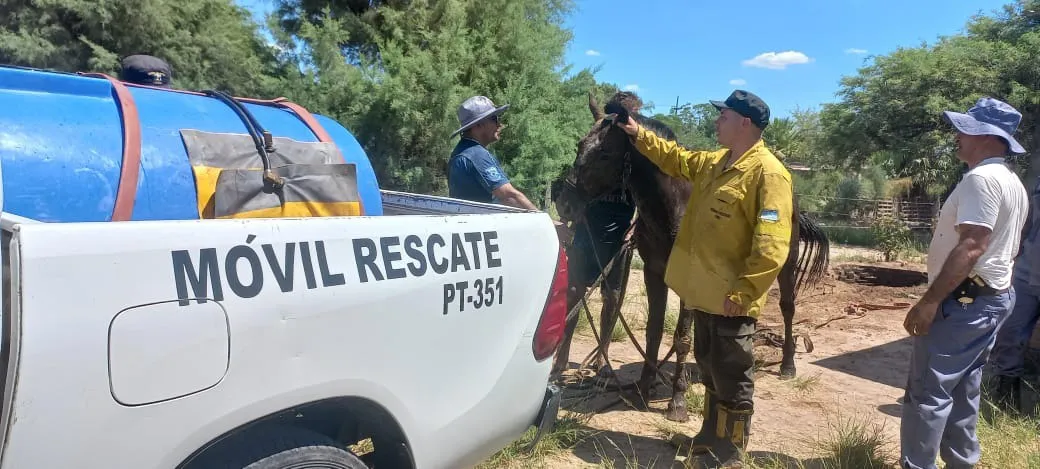 WhatsApp Image 2025-02-23 at 17.25.35