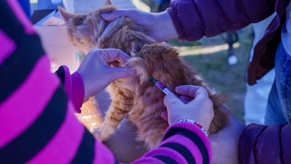 WhatsApp Image 2025-08-13 at 12.25.57