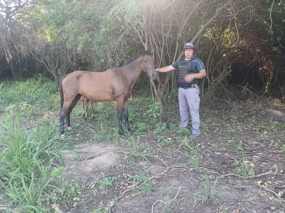 WhatsApp Image 2026-01-09 at 11.39.30