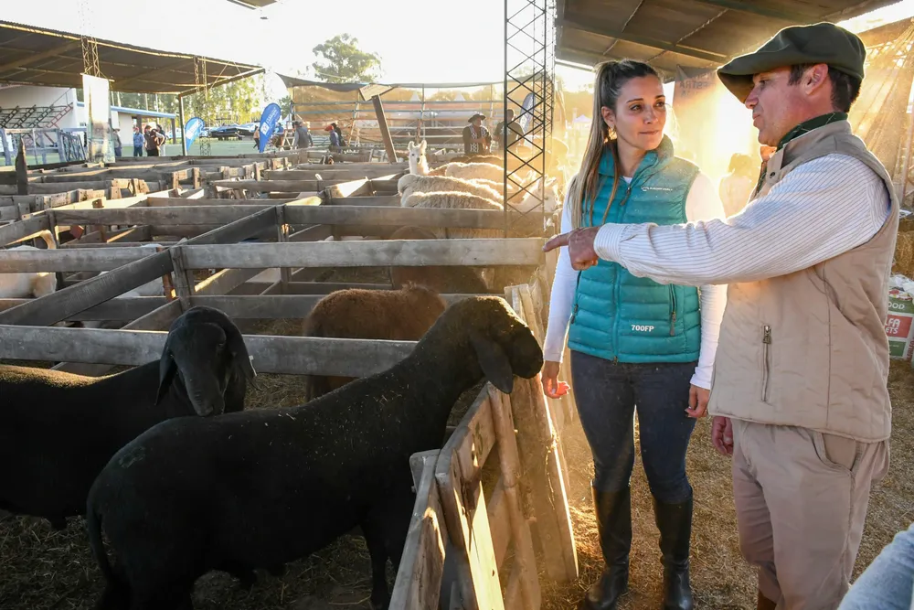 WhatsApp Image 2025-08-26 at 09.48.15