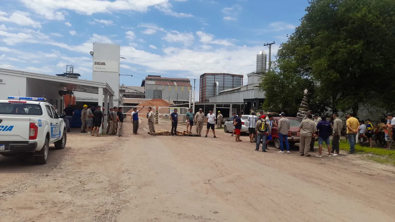 WhatsApp Image 2024-12-18 at 13.21.47