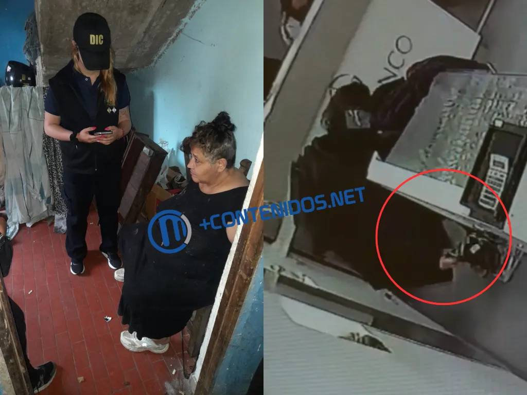 Presentación (43) (8)