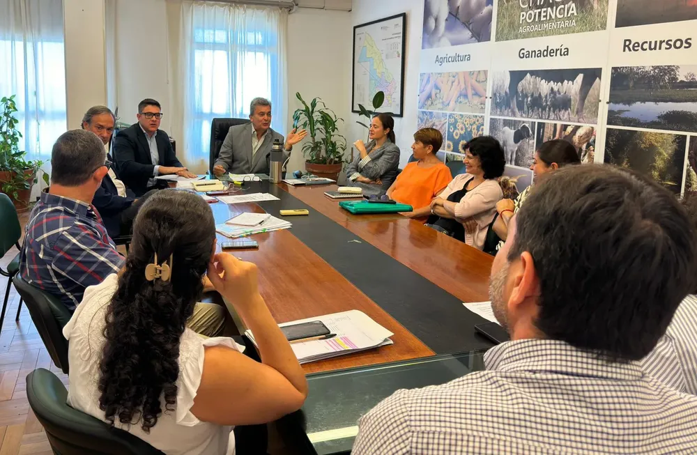 WhatsApp Image 2024-11-01 at 18.42.04