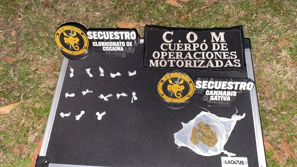 WhatsApp Image 2025-11-04 at 00.09.23