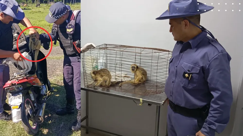 WhatsApp Image 2024-10-29 at 11.30.24