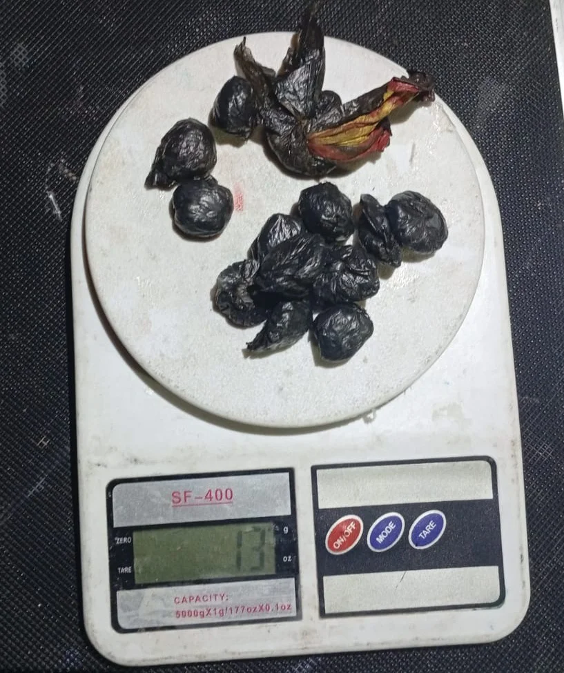 WhatsApp Image 2026-03-27 at 23.22.42