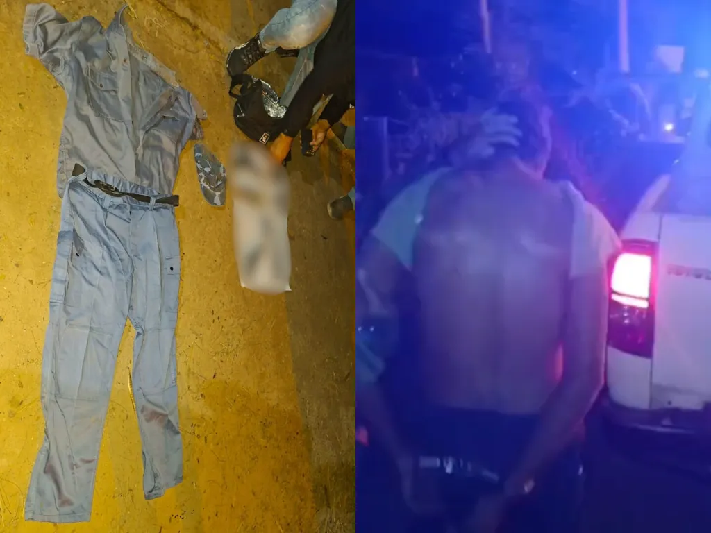 Presentación (43) (2)