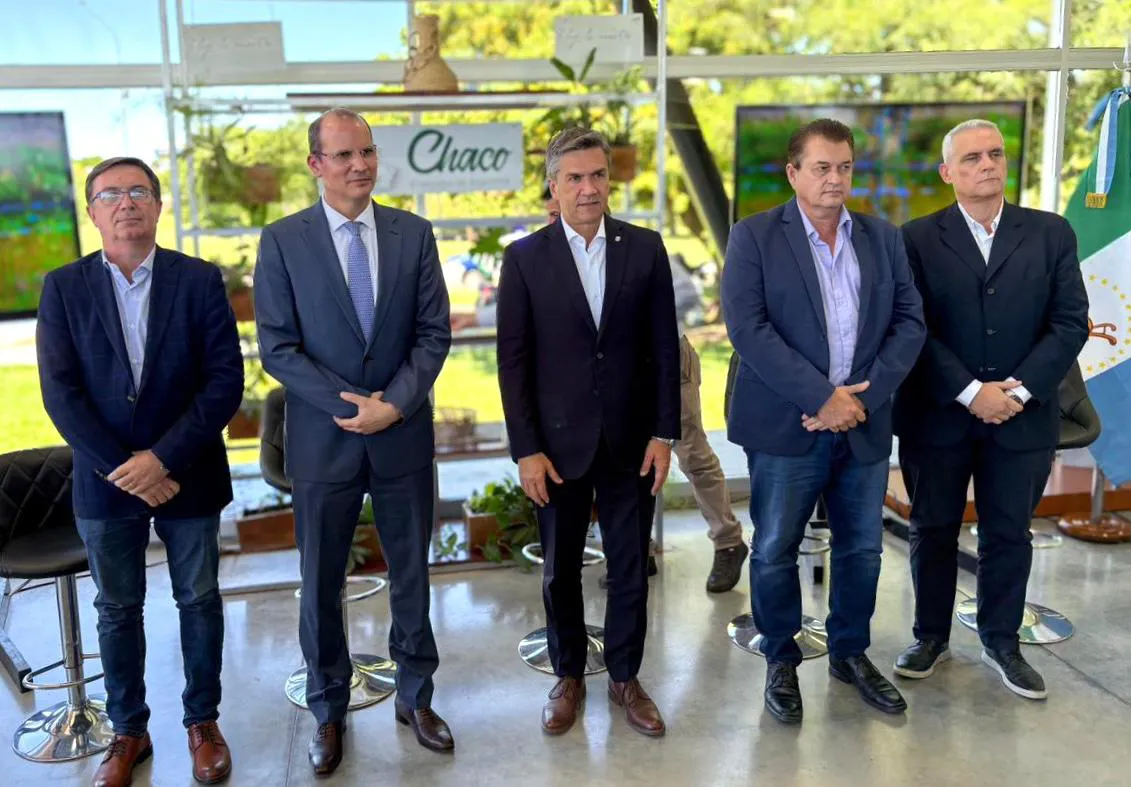 WhatsApp Image 2025-12-03 at 17.55.12