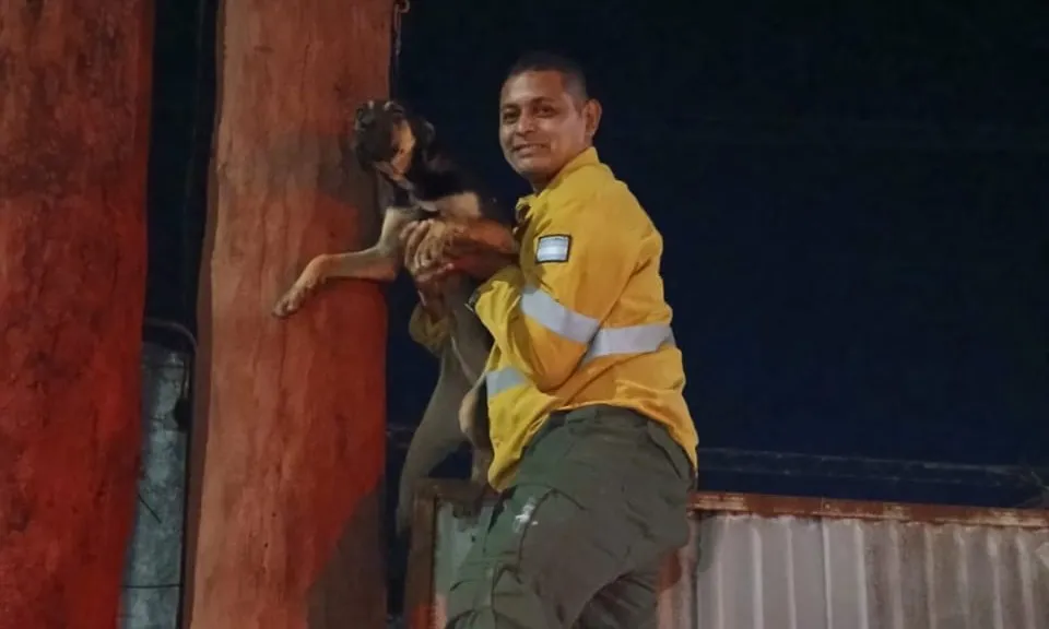 WhatsApp Image 2025-12-30 at 06.31.05