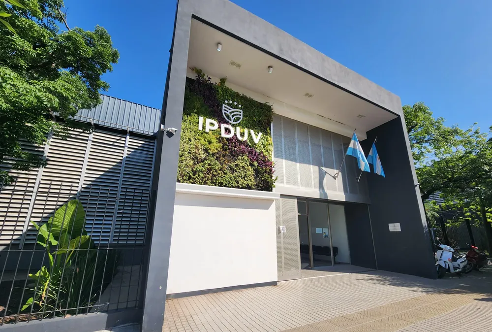 WhatsApp Image 2024-11-25 at 09.17.49