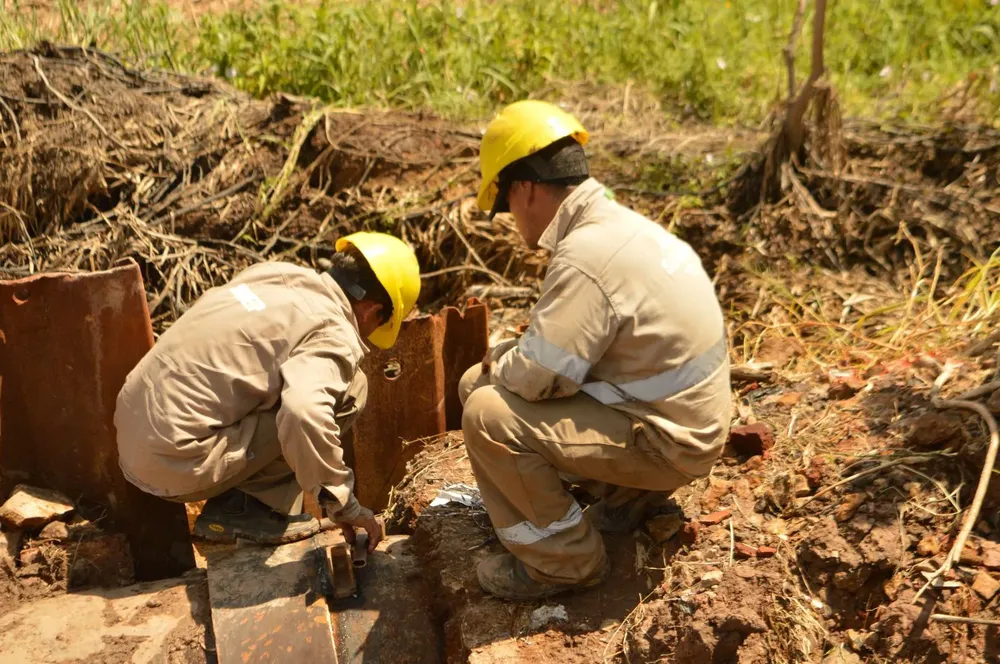 WhatsApp Image 2026-02-11 at 19.28.19