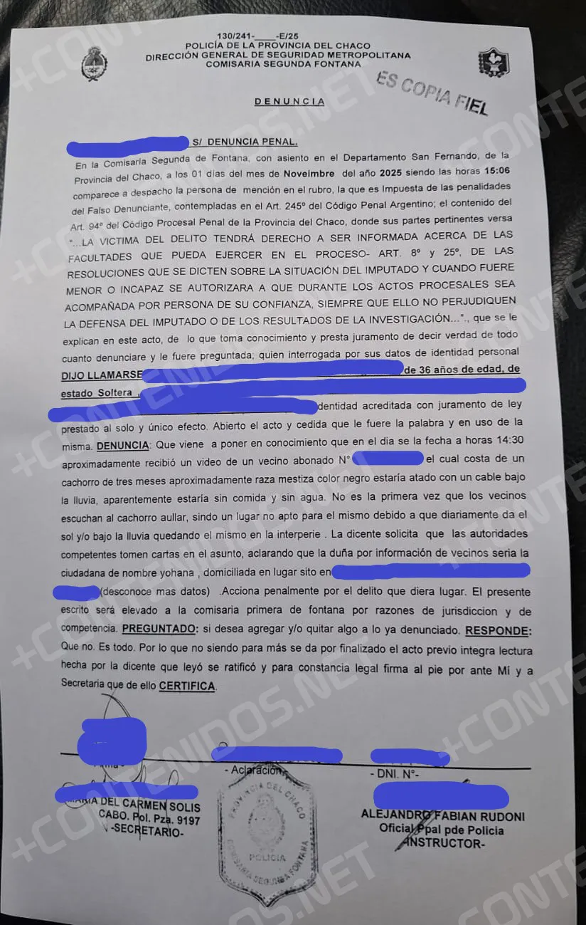 WhatsApp Image 2025-11-03 at 11.24.12 (1)