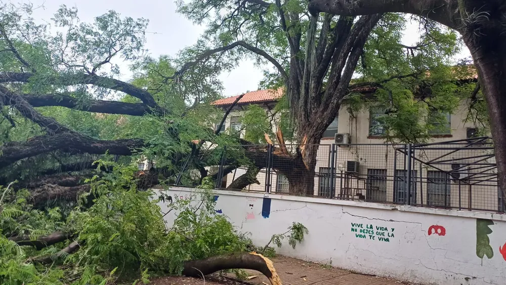 WhatsApp Image 2025-12-01 at 08.55.25