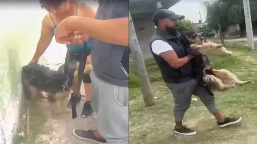 image - 2026-01-29T124435.308