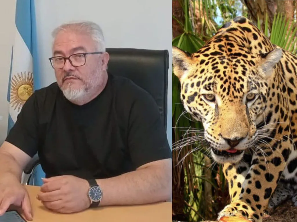 Presentación (43) (1)