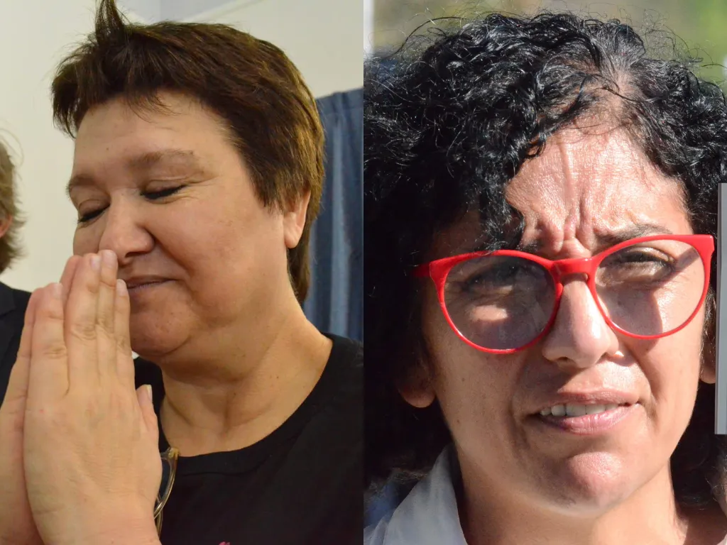 Presentación (43) (8)