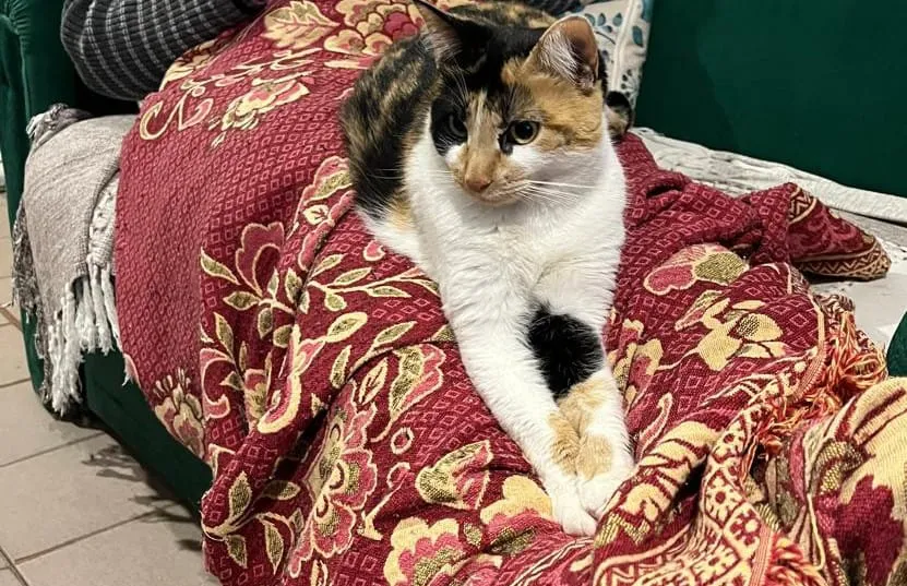 WhatsApp Image 2025-10-09 at 11.55.53