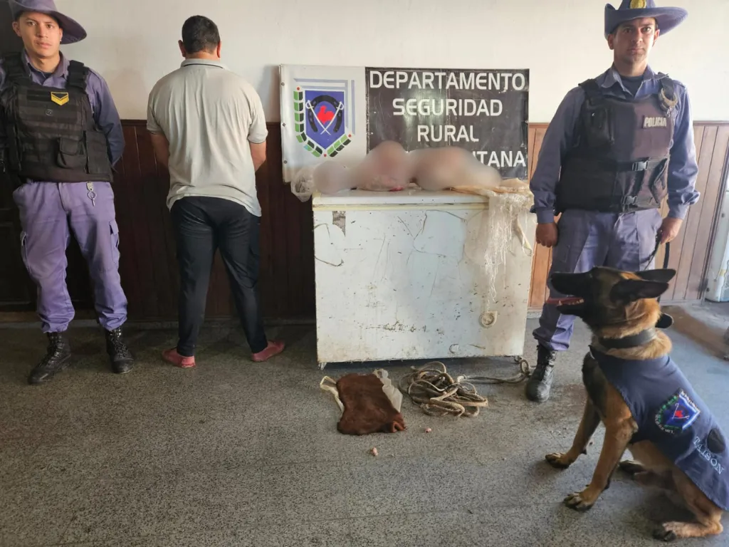 Presentación (43) (1)