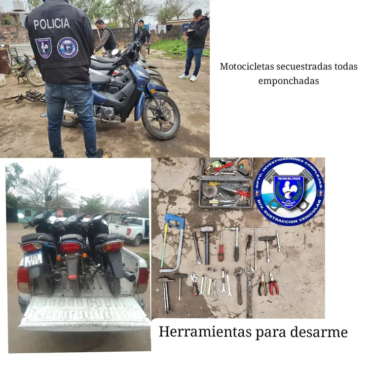 WhatsApp Image 2024-08-19 at 14.18.43