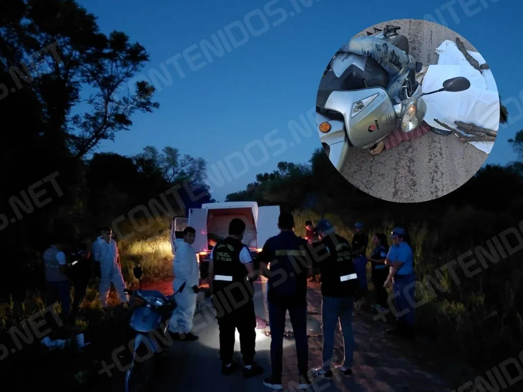 Presentación (43) (11)