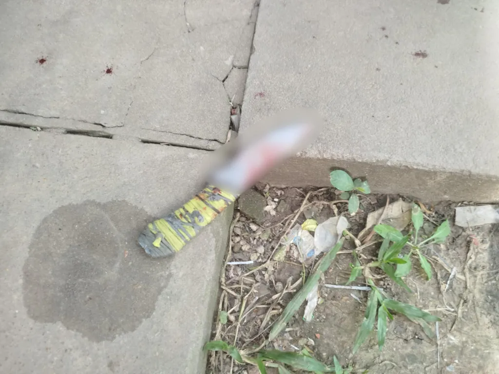 Presentación (43) (1)