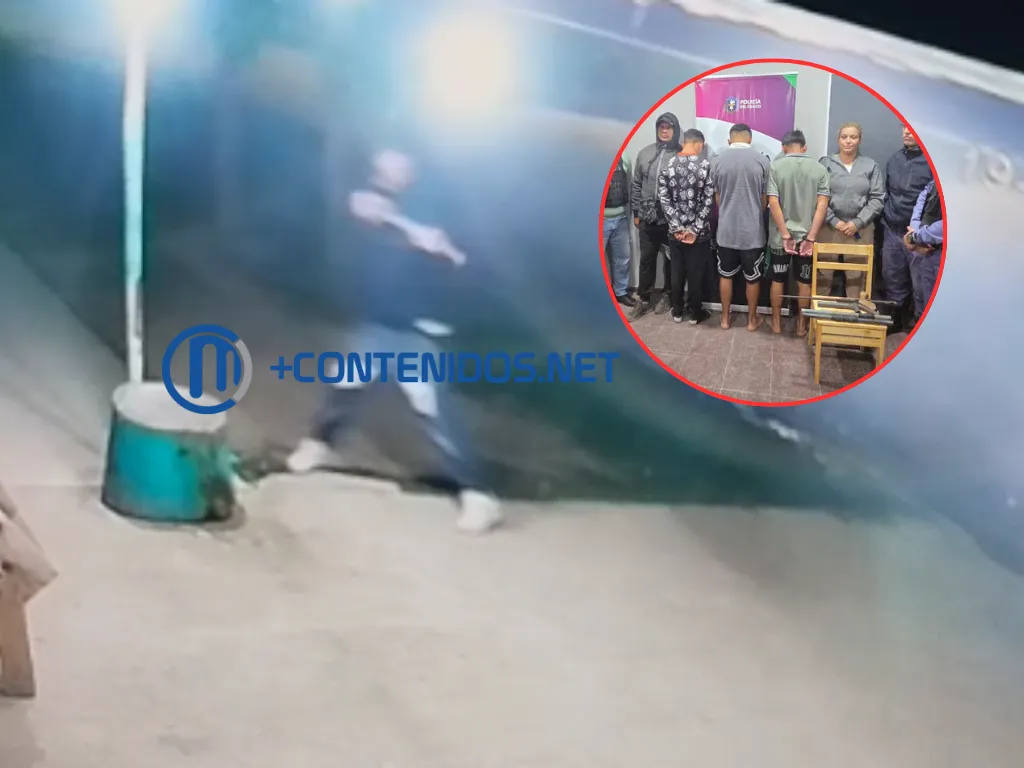 Presentación (43) (8)